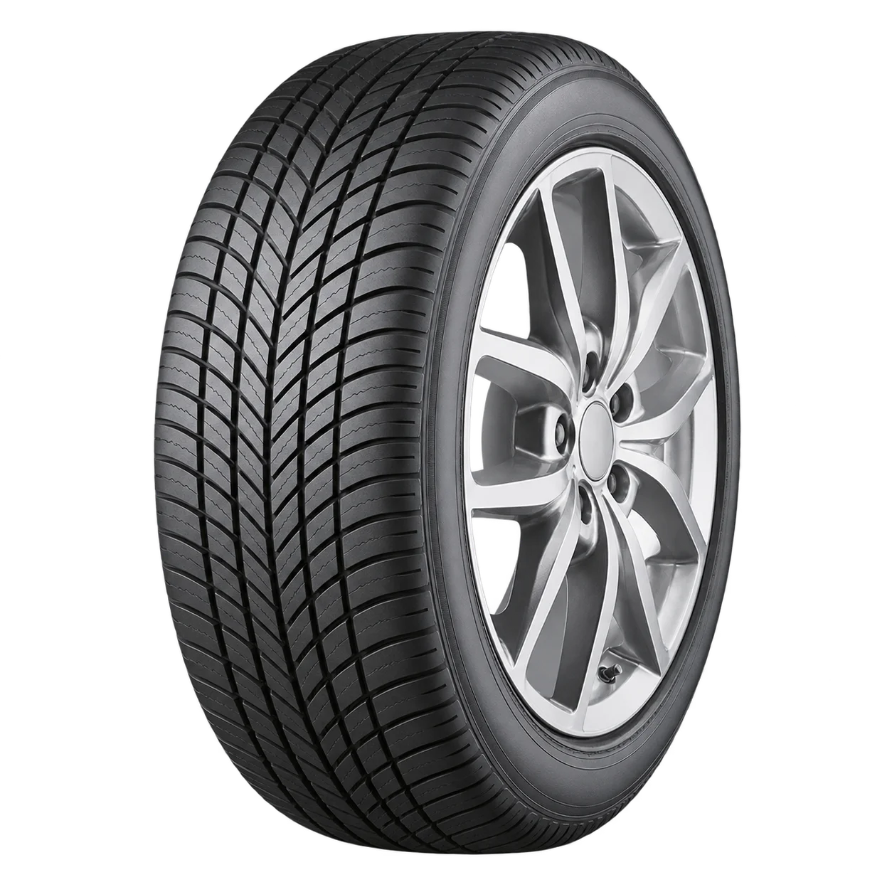 DRIVEGUARD WINTER