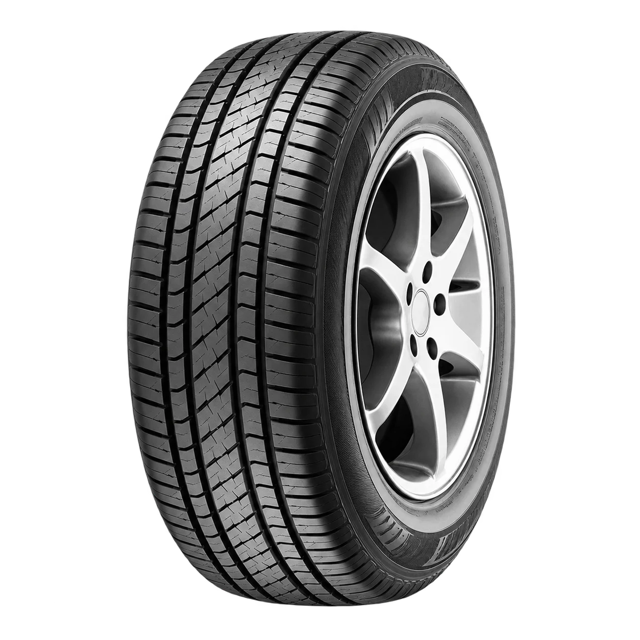 COMPETUS H/L